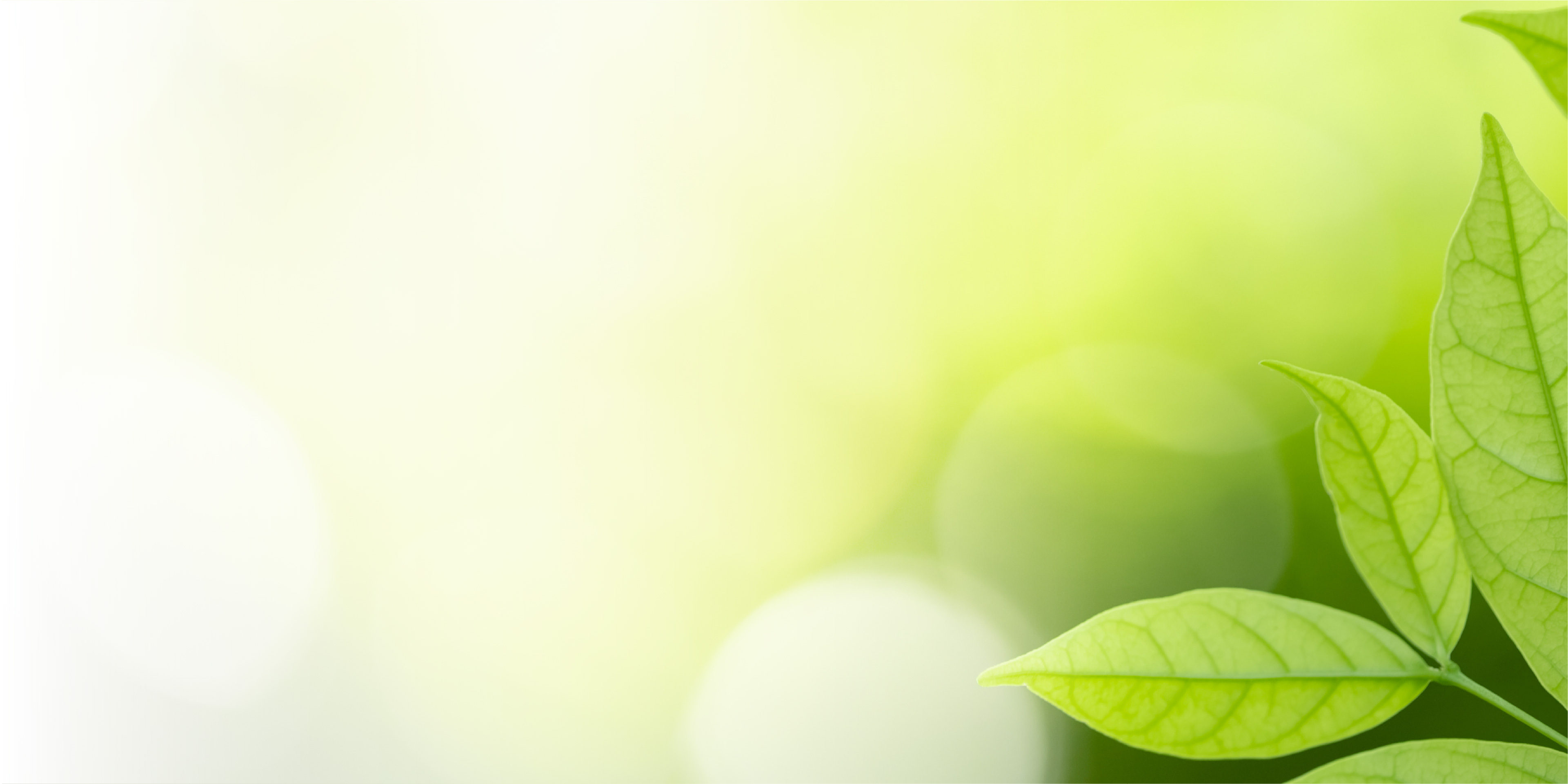 直傳靈氣リンク画像